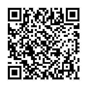 何况就算发现了也不一定能知道这片逆鳞的作用二维码生成