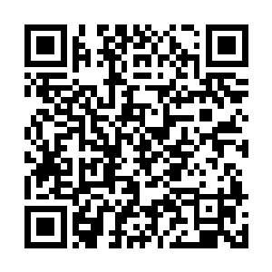 何况就算是04年之前就出道的前辈也不敢在他面前摆谱二维码生成