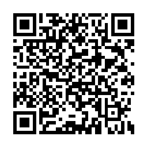 何况我炼制的法宝岂是一般三脚猫炼宝师能比的二维码生成