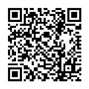 何况是它这种几近化龙之后可与天地同寿的半神长灵二维码生成