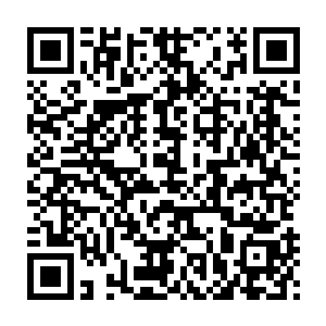 何况能从一无权无势无背景的身份走到今天这个地步也的确是不容易二维码生成