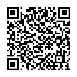 何况芮阁的吻让她本来智商不高的脑子更加混乱二维码生成