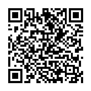 何十八直接取出了一只亮橙色的毛笔递给琴瑟色二维码生成