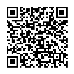 何塞·阿莱玛尼回家去去办理入职手续需要的证件资料了二维码生成