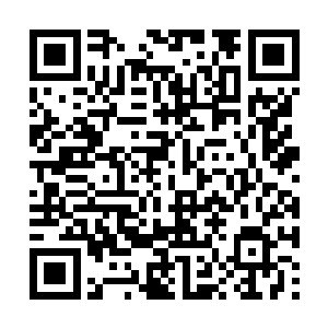 何姨婆忍不住被她吸引了目光――这姑娘长腿大胸二维码生成