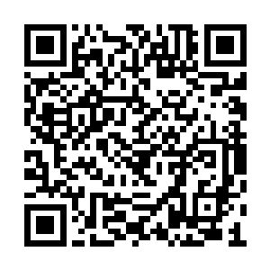 何敏就是一个性格内向甚至有些柔弱软糯的女子二维码生成