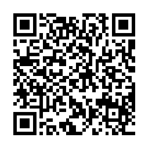 何文婕测向省公安厅长王世杰汇报这个案件的整个过程二维码生成