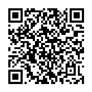 何晴也知道自己今天办的事的确有点对不起丁长生二维码生成