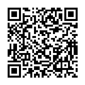 何曾遭受过这样的羞辱……这要是传回蓬莱秘境的话二维码生成