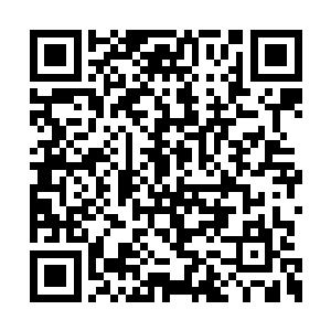 何袖琼跟他的分工明显是一个唱红脸一个唱白脸二维码生成