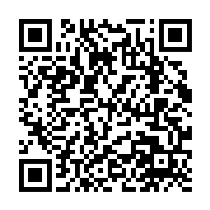 何重阳把管虎手里一摞厚厚的资料夹拿过来递给杨洛二维码生成