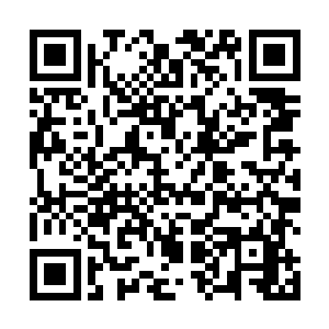 余下的上元大陆的圣级大修士都出现在空中和符族相对二维码生成