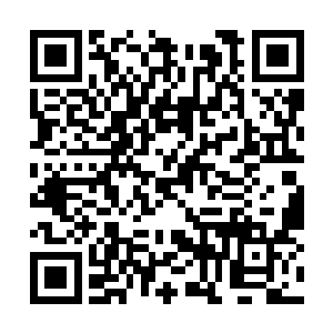 余下的修士还在那里认真地重温炼制一元丹的过程二维码生成