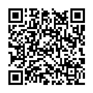 余下的八大宗门的人尊期大修士俱都进入了第二轮二维码生成