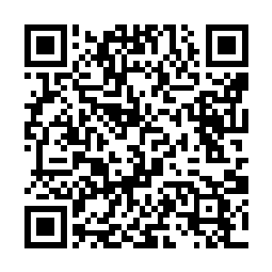 余嬷嬷把她和一个叫做风琴的丫鬟安排在同一个屋子二维码生成