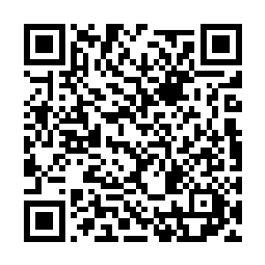 余生的脸上还未退去的潮红中带着遮掩不住的苍白二维码生成