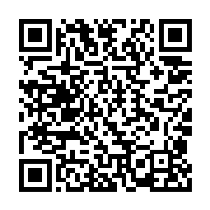 余白六人的力量层次已然清晰的呈现在韩风眼里二维码生成