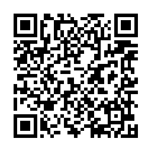 佛龙突然转身对着那咬上来的佛龙便是一句浩瀚的佛音二维码生成