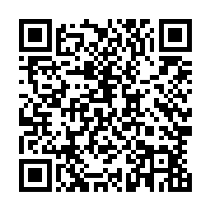 作为一个专业的杀手 他不会放弃任何一个杀死目标的机会二维码生成