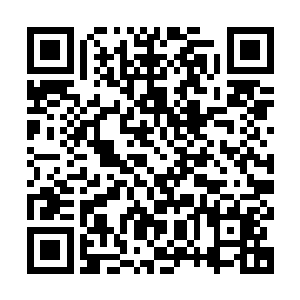 作为一个仙阵宗师他当然能够看到之前他布设的仙阵发生了变化二维码生成