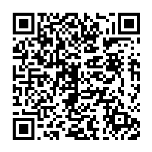 作为一个先天仙符师却不耽误他能够准确的知道光罩消失的那一瞬时间二维码生成