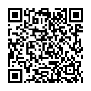 作为一个可以在时间之塔中单独修炼十五年的人二维码生成