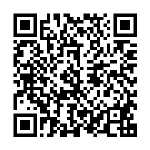 作为一个在此之前从来没有与任何修士有过接触的普通人来说二维码生成