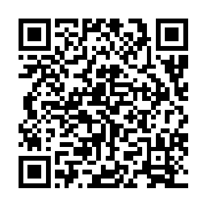作为一个捕金枪鱼的贝海自然知道这东西是测鱼肉脂肪的二维码生成