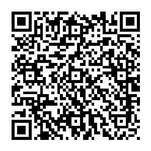 作为一个水手这样的五米多灰色身体还有那竖起了三角鳍代表着什么自然是一清二楚二维码生成
