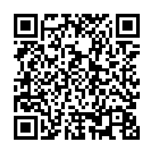 作为一个科技已经发达到完全可以给人类植新皮技术社会二维码生成