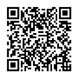 作为一个过来人他自然也隐隐有些明白杨戬的意图二维码生成