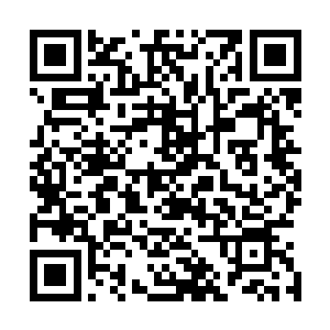 作为一剑峰的弟子许紫烟怎么可能不知道一剑峰弟子的性子二维码生成