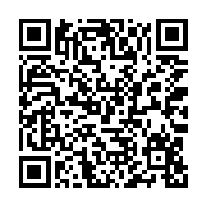 作为一头算上触手直径超过数万公里的庞然大物二维码生成