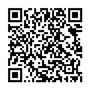 作为一家顶梁柱的唐洪运却突然因为经济案被抓二维码生成