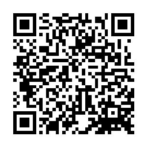 作为专家证人出庭时面对嫌疑犯的辩护律师的提问二维码生成