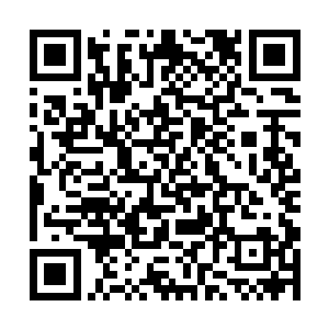 作为主人家的中年人以及身边的shi从们倒是颇有气度二维码生成