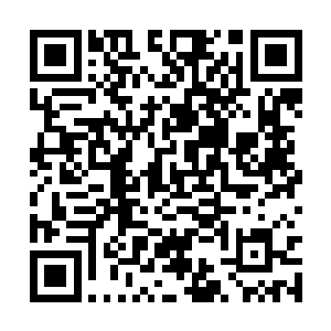 作为从阿尔戈斯麾下新融入奥利维亚小团队的新人二维码生成