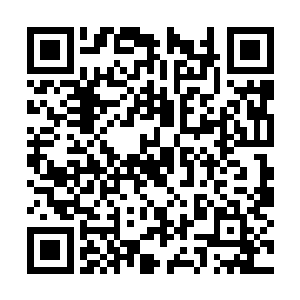 作为化仙者前驱的所有仙域全都在天一界的控制下二维码生成