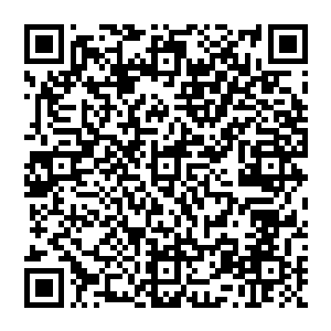 作为华民经济研究院的一项主要工作就是要对华民集团内部几大板块的远景发展进行研究分析二维码生成