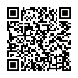 作为参与了引道入地布置的易掌院和李锦湖等人二维码生成