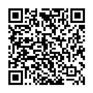 作为参与试炼的五大准圣子最后一道防线的禾田长老二维码生成