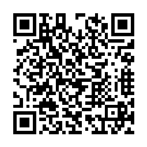 作为名义上座师的赵文华也赠了一件贺礼于朱平安二维码生成