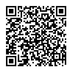 作为唯一观看了笑君主与花王一战的旁观者的毒王还是感觉所见一切太不真实二维码生成