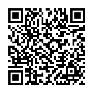 作为圣级九层后期巅峰大修士行动只是心念一动之间二维码生成