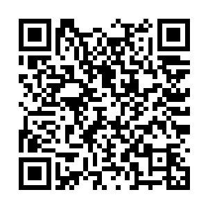 作为圣级大圆满的混沌兽和域外天魔虽然不通阵道二维码生成