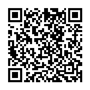 作为地主儿齐一铭亲自在自己的小新家里弄了几个菜二维码生成