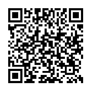 作为士大夫的气节操守还没有多少可挑剔的地方二维码生成