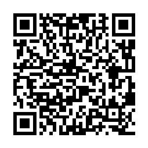作为将来极可能有机会成为神魔圣弟子人选的冷青丘二维码生成