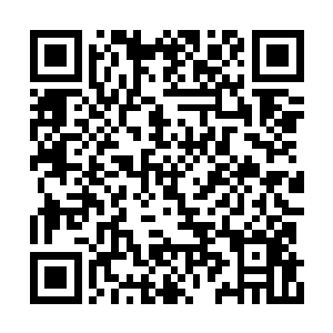 作为弟弟的他其实在很多时候都更像是一位哥哥二维码生成