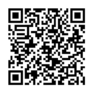 作为律法之柱的无眠者罗兰也是永远留在冥府之中二维码生成